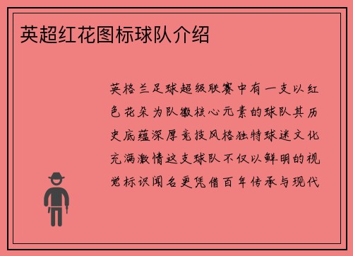 英超红花图标球队介绍